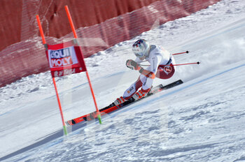 2021-02-28 - Michelle Gisin - 2021 AUDI FIS SKI WORLD CUP VAL DI FASSA - SUPERG WOMEN - ALPINE SKIING - WINTER SPORTS