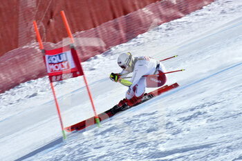 2021-02-28 - Joana Haehlen - 2021 AUDI FIS SKI WORLD CUP VAL DI FASSA - SUPERG WOMEN - ALPINE SKIING - WINTER SPORTS