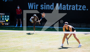 2021-06-14 - Jessica Pegula and Asia Muhammad of the United States playing doubles at the 2021 bett1open WTA 500 tennis tournament on June 14, 2021 at Rot-Weiss Tennis Club in Berlin, Germany - Photo Rob Prange / Spain DPPI / DPPI - 2021 BETT1OPEN WTA 500 TENNIS TOURNAMENT - INTERNATIONALS - TENNIS