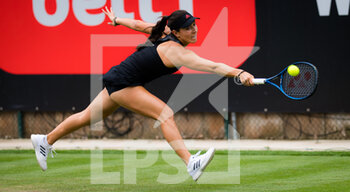 2021-06-15 - Jessica Pegula of the United States in action against Hailey Baptiste of the United States during the first round of the 2021 bett1open WTA 500 tennis tournament on June 15, 2021 at Rot-Weiss Tennis Club in Berlin, Germany - Photo Rob Prange / Spain DPPI / DPPI - 2021 BETT1OPEN WTA 500 TENNIS TOURNAMENT - INTERNATIONALS - TENNIS