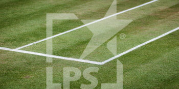 2021-06-17 - Grass court illustration at the 2021 bett1open WTA 500 tennis tournament on June 17, 2021 at Rot-Weiss Tennis Club in Berlin, Germany - Photo Rob Prange / Spain DPPI / DPPI - 2021 BETT1OPEN WTA 500 TENNIS TOURNAMENT - INTERNATIONALS - TENNIS