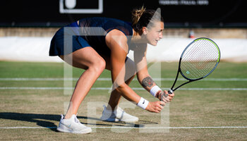 2021-06-17 - Aryna Sabalenka of Belarus playing doubles at the 2021 bett1open WTA 500 tennis tournament on June 17, 2021 at Rot-Weiss Tennis Club in Berlin, Germany - Photo Rob Prange / Spain DPPI / DPPI - 2021 BETT1OPEN WTA 500 TENNIS TOURNAMENT - INTERNATIONALS - TENNIS
